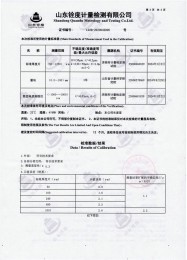 检测仪器报告证书：涂层测厚仪